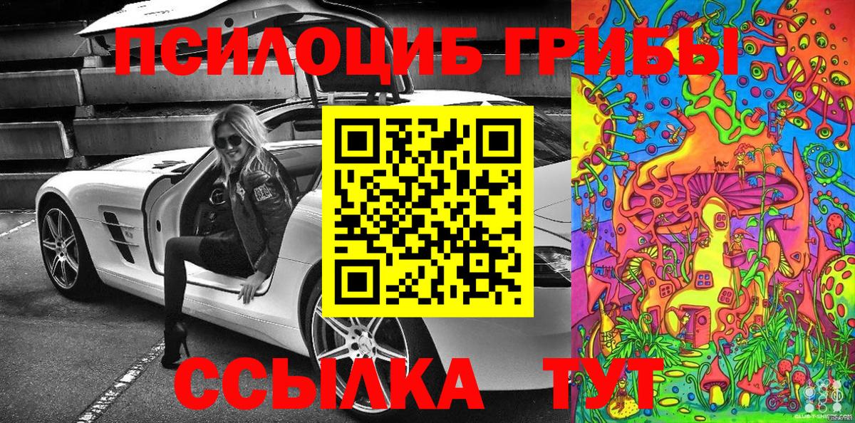 где купить   Псилоцибиновые грибы прущие грибы  Псилоцибиновые грибы Magic Shrooms  Вход с VPN  Северск 