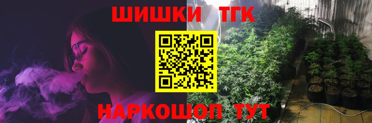 Бошки Шишки сатива Северск